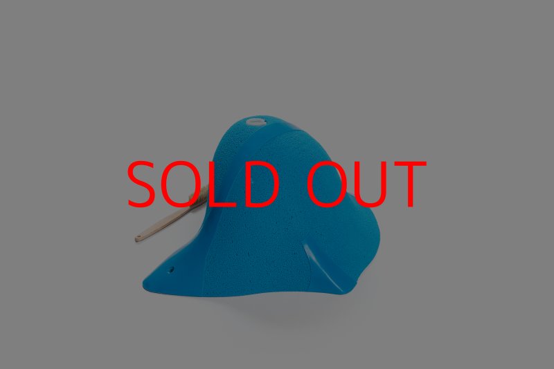 画像3: CT Craters  Gus (3)