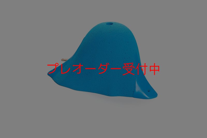 画像2: CT Craters  Fangio/プレオーダー (2)