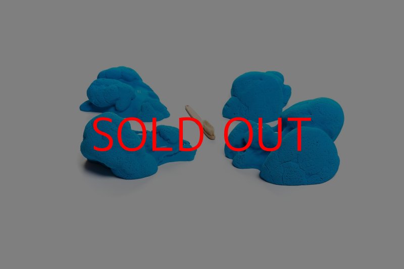 画像5: CT Kaly flower XL1 (5)