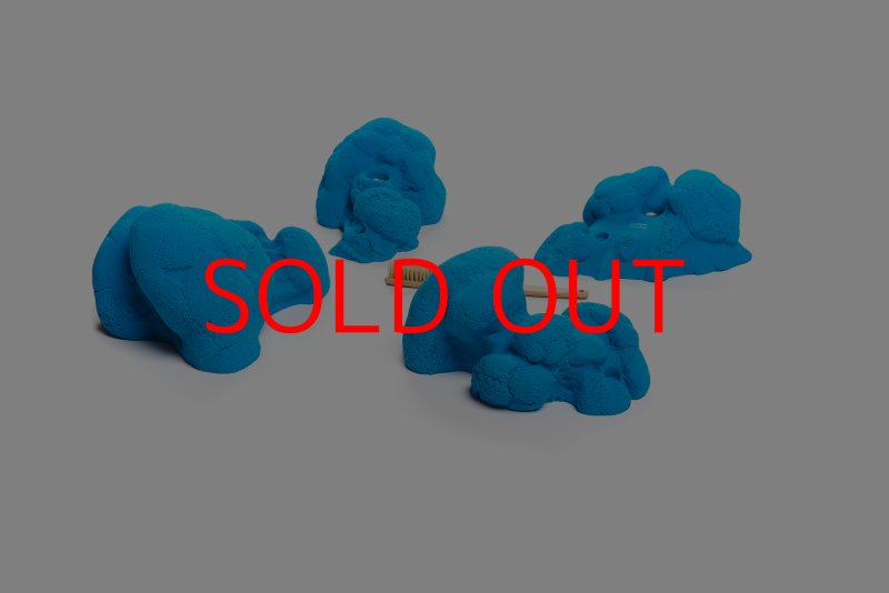 画像7: CT Kaly flower XL1 (7)