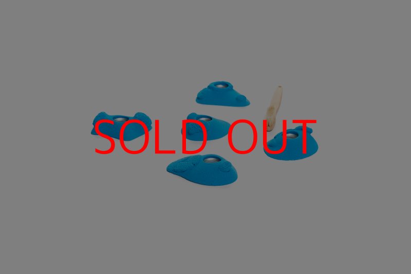 画像5: CT Kaly flower XS2 (5)