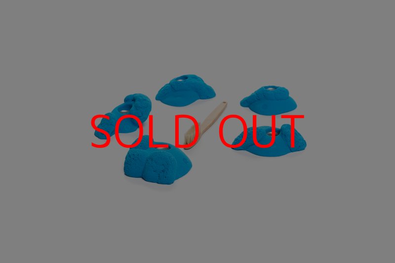 画像6: CT Kaly flower S1 (6)