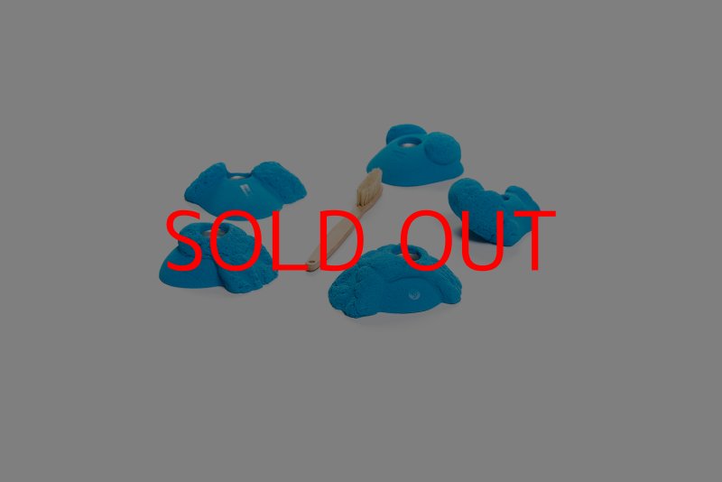 画像3: CT Kaly flower S1 (3)