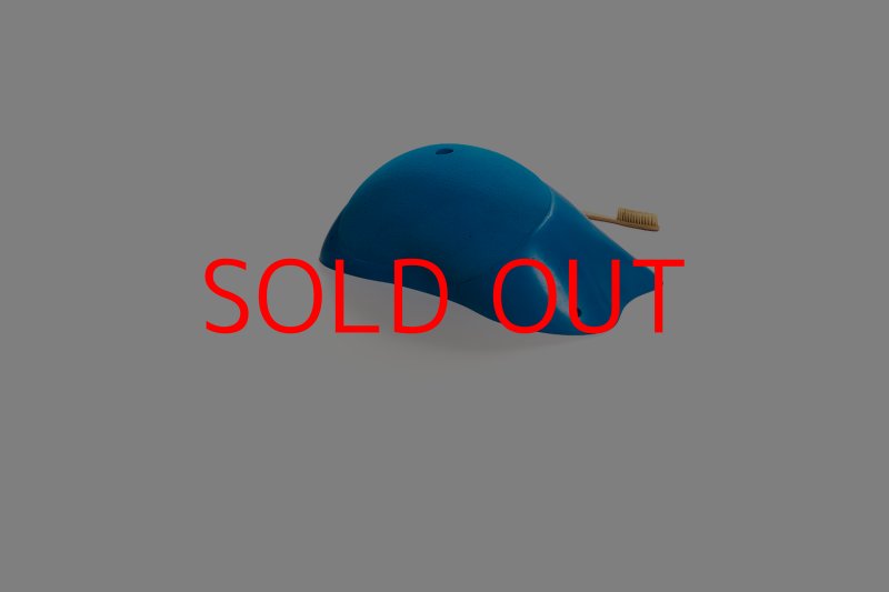 画像4: CT Shape Rider Sunside 18 MEG (4)