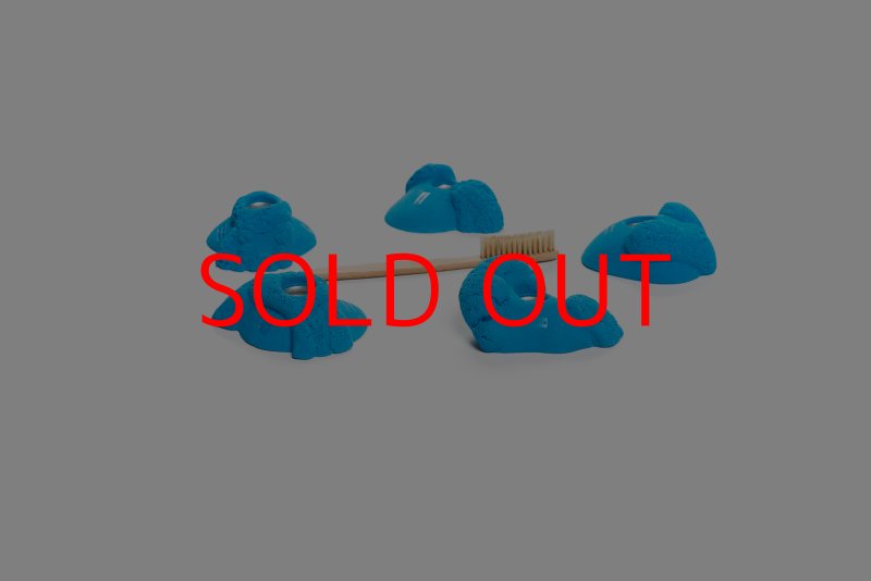 画像4: CT Kaly flower S1 (4)