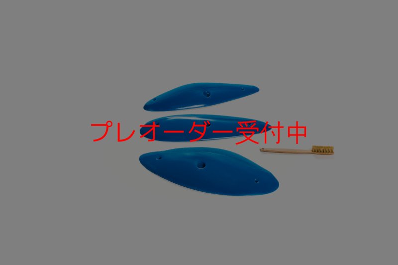 画像5: CT Shape Rider Sunside16 XXL/プレオーダー (5)