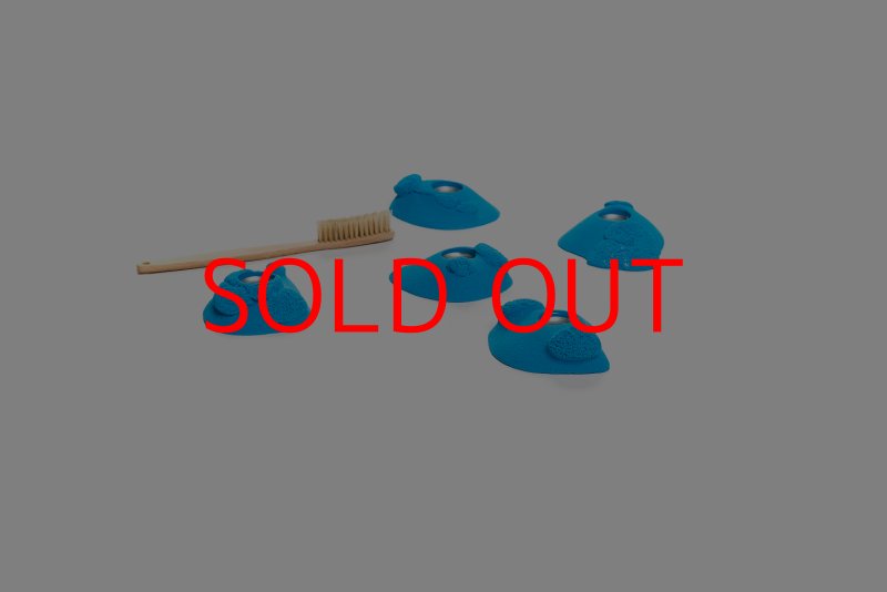 画像3: CT Kaly flower XS2 (3)