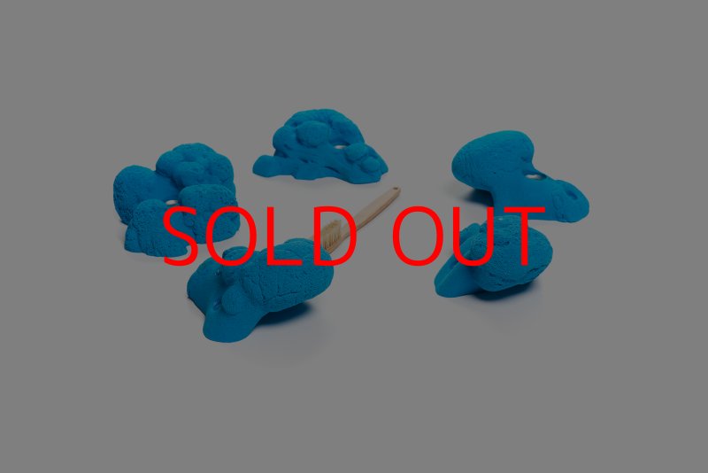 画像6: CT Kaly flower L1 (6)