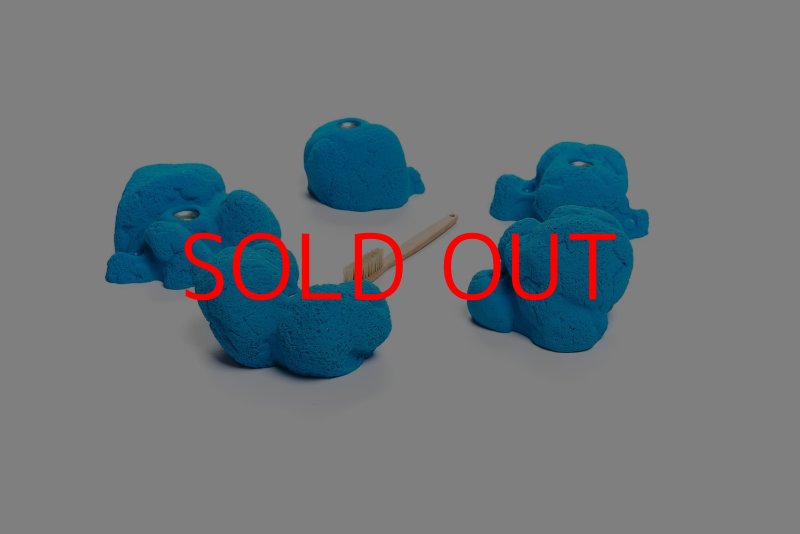 画像6: CT Kaly flower L2 (6)