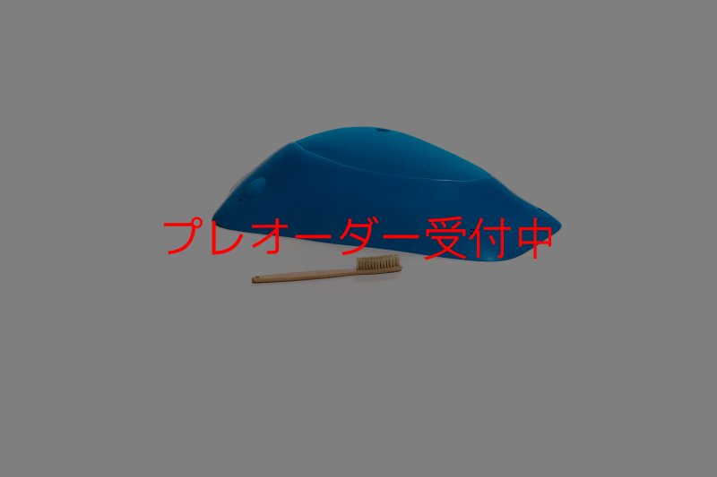 画像2: CT Shape Rider Sunside 17 MEG/プレオーダー (2)