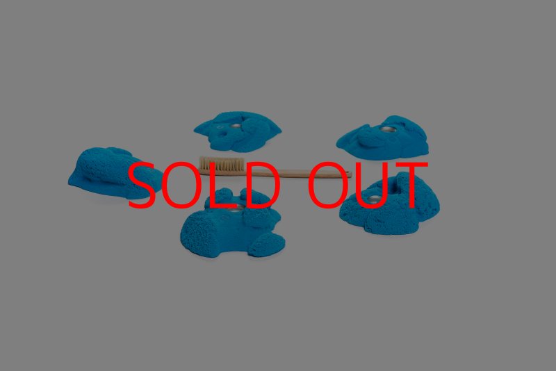 画像7: CT Kaly flower M2 (7)