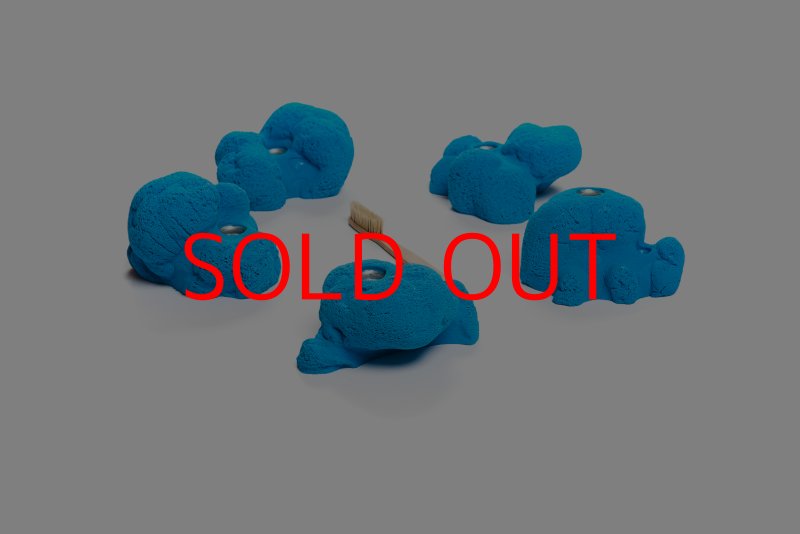 画像2: CT Kaly flower L2 (2)