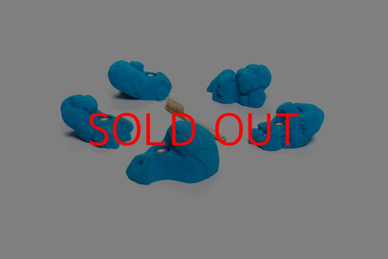 画像2: CT Kaly flower L1 (2)