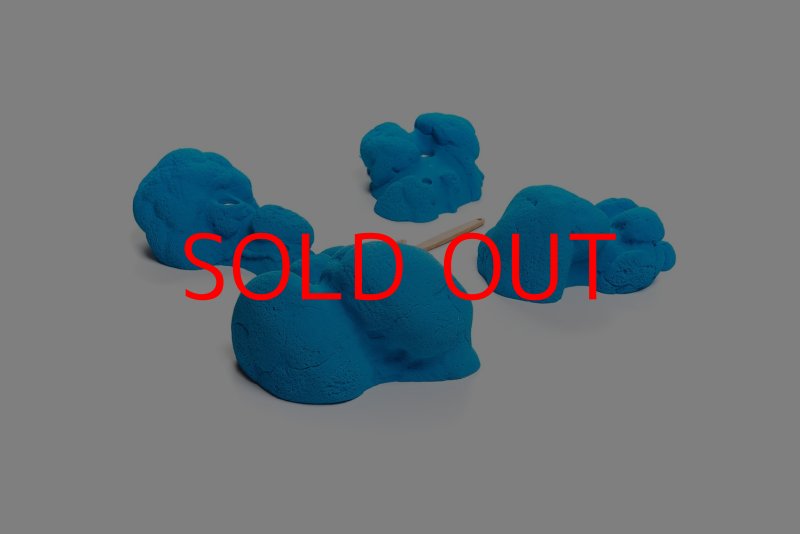 画像6: CT Kaly flower XL1 (6)