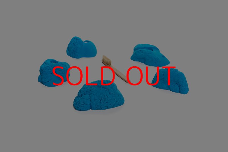 画像2: CT Kaly flower M3 (2)