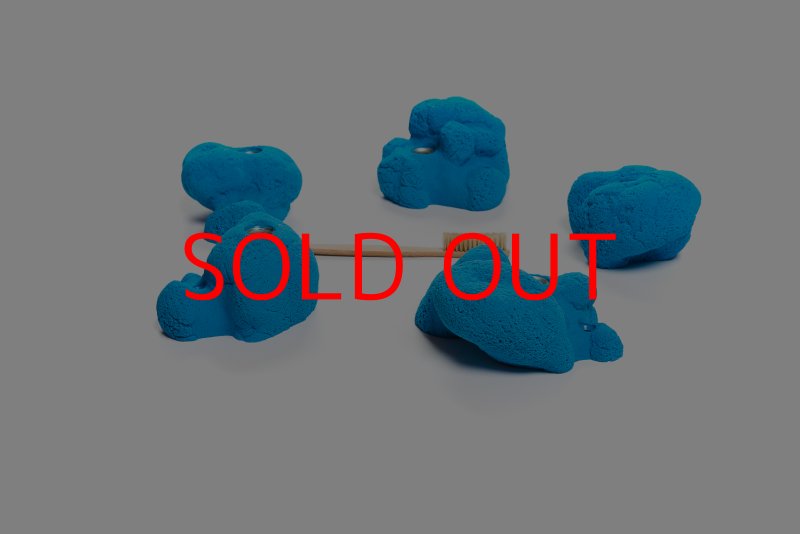 画像4: CT Kaly flower L2 (4)