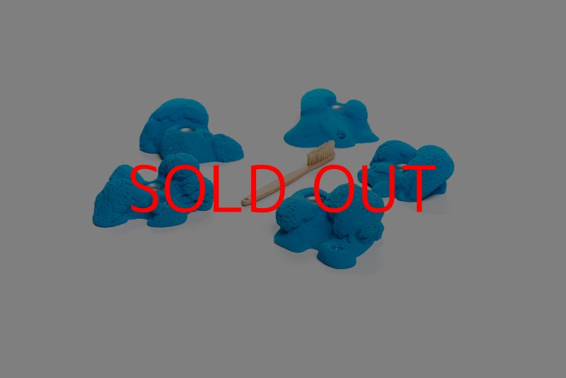 画像3: CT Kaly flower M1 (3)