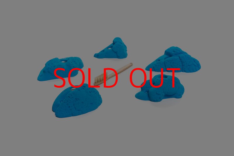 画像6: CT Kaly flower M3 (6)