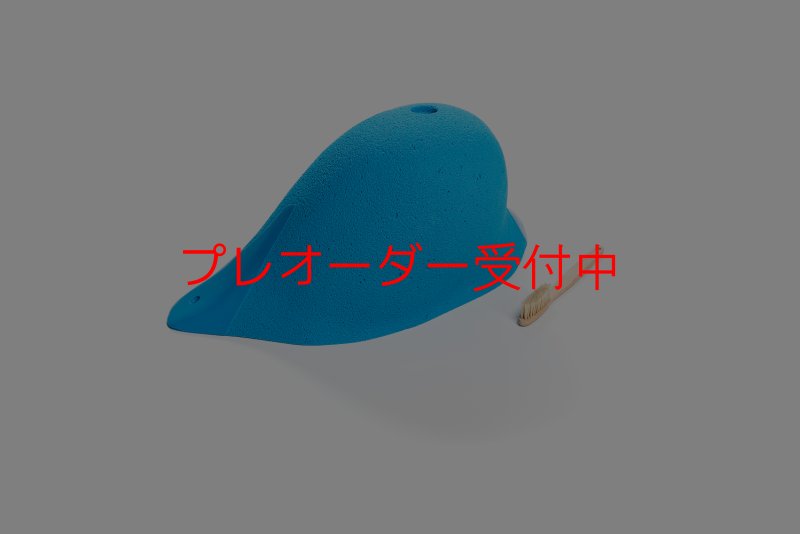 画像4: CT Craters  Fangio/プレオーダー (4)
