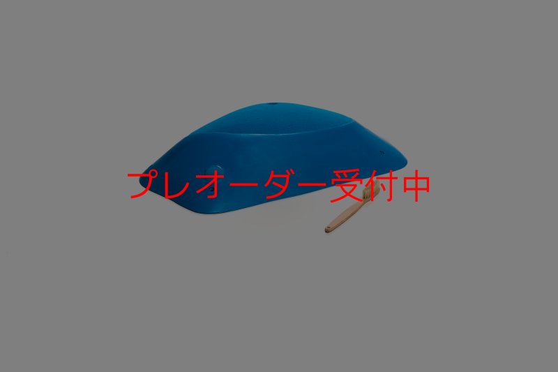 画像1: CT Shape Rider Sunside 17 MEG/プレオーダー (1)