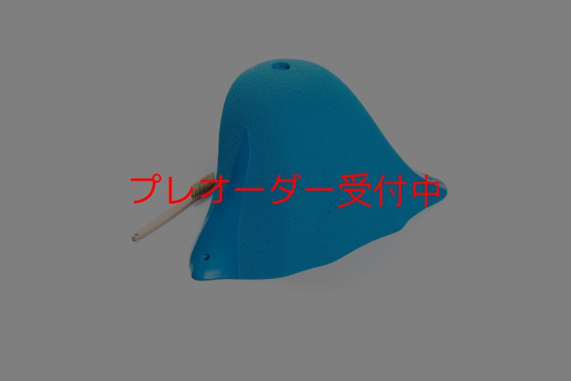 画像7: CT Craters  Fangio/プレオーダー (7)