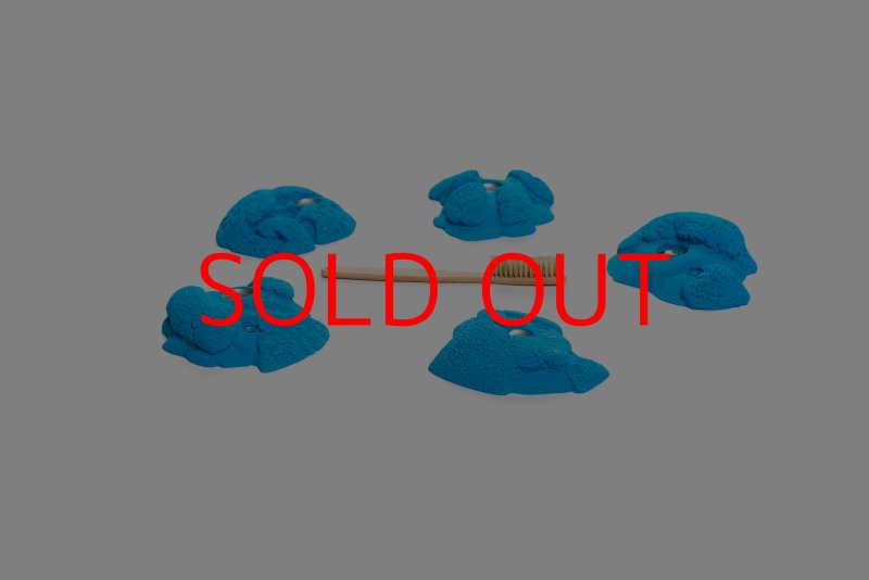 画像4: CT Kaly flower M2 (4)