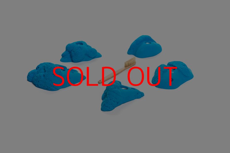 画像3: CT Kaly flower M3 (3)