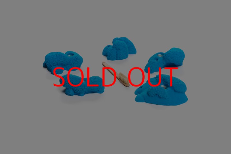 画像5: CT Kaly flower M1 (5)