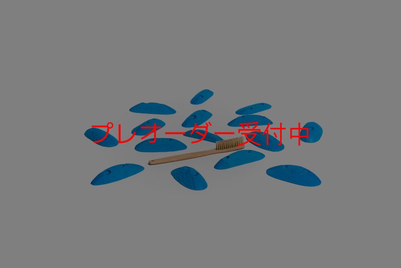 画像1: CT Pulsar XS1/プレオーダー (1)