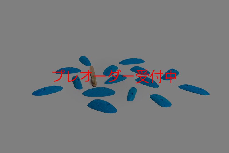 画像3: CT Pulsar XS1/プレオーダー (3)