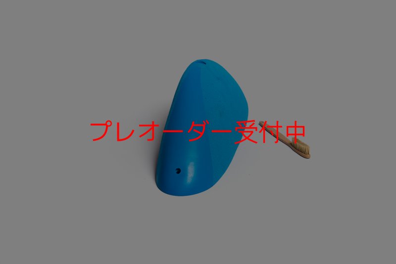 画像5: CT Pulsar mega 1/プレオーダー (5)