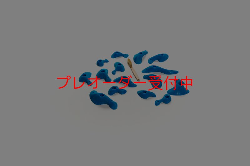 画像4: CT Taji Pinch S/プレオーダー (4)