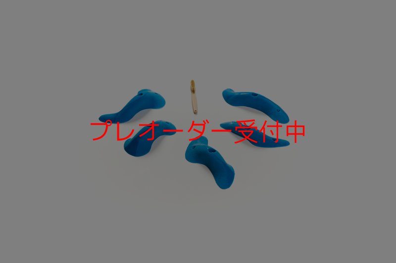 画像1: CT Taji Pinch M2/プレオーダー (1)