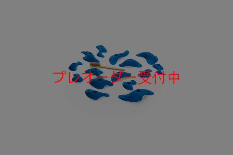 画像3: CT Taji Pinch S/プレオーダー (3)