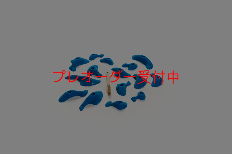 画像1: CT Taji Pinch S/プレオーダー (1)