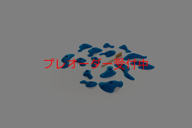 画像5: CT Taji Pinch S/プレオーダー (5)