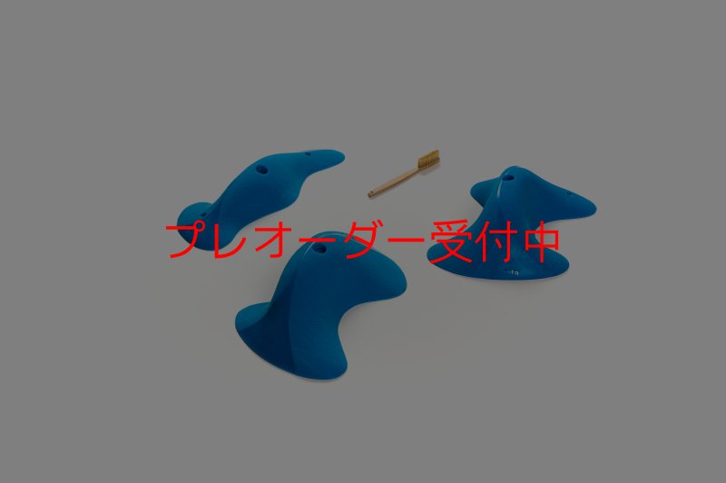 画像4: CT Taji Pinch XL2/プレオーダー (4)