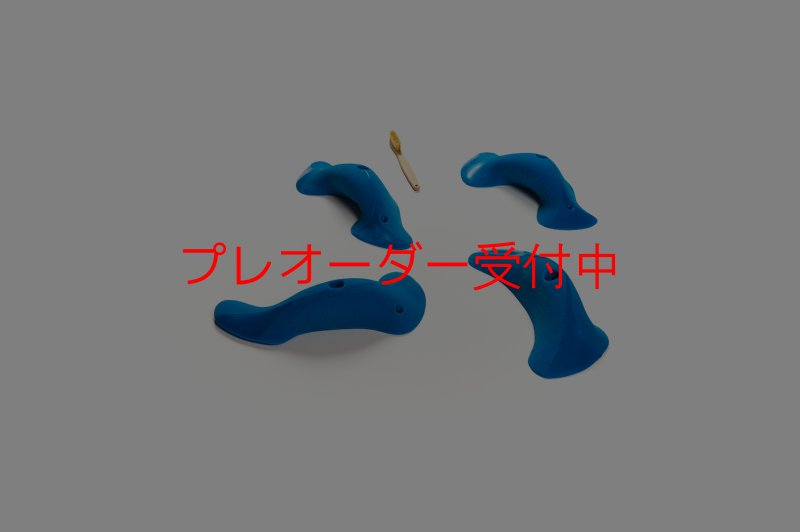 画像3: CT Taji Pinch L1/プレオーダー (3)