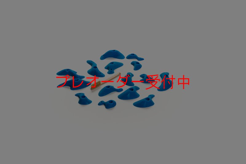 画像2: CT Taji Pinch S/プレオーダー (2)