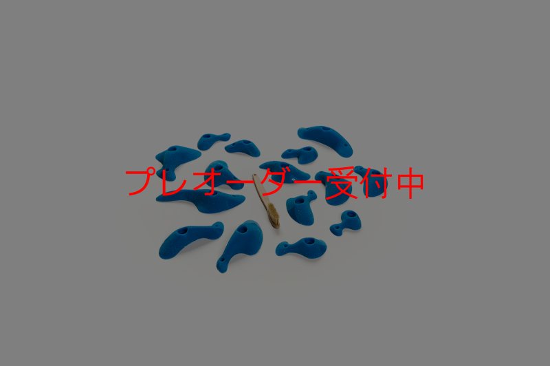 画像7: CT Taji Pinch S/プレオーダー (7)