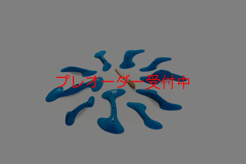 画像6: CT Taji Pinch M1/プレオーダー (6)