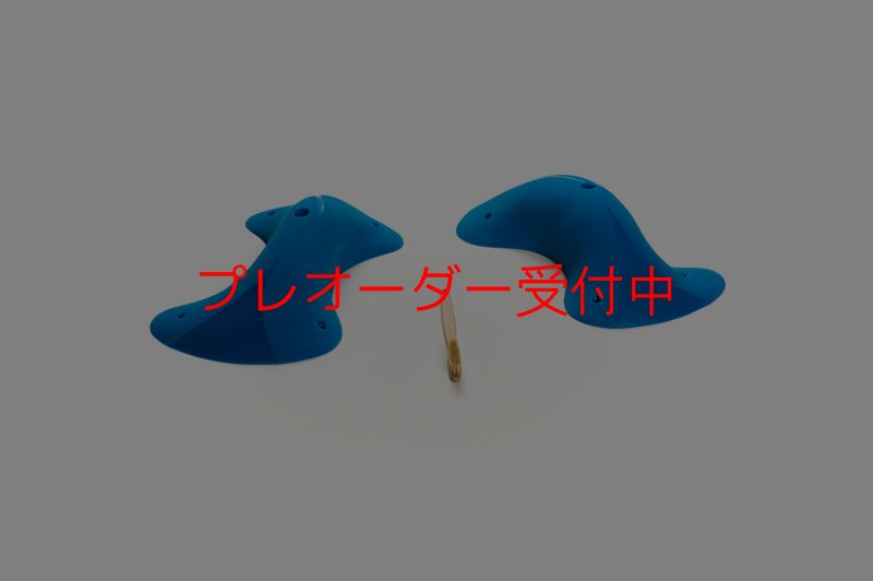 画像7: CT Taji Pinch XXL1/プレオーダー (7)