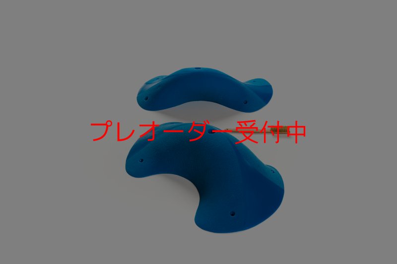 画像6: CT Taji Pinch MEG 1/プレオーダー (6)