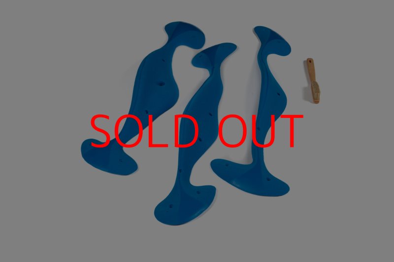 画像5: CT Taji Pinch MEG 2 (5)