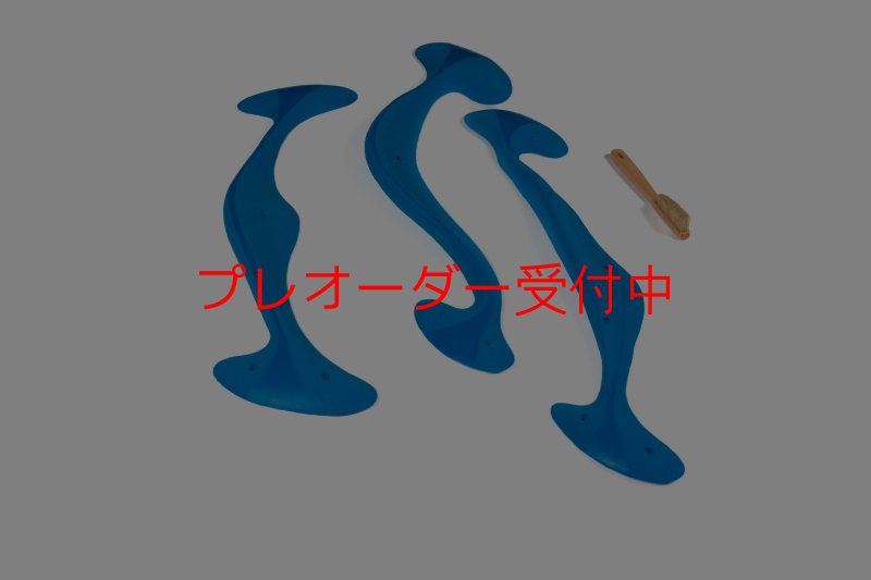 画像5: CT Taji Pinch MEG 3/プレオーダー (5)