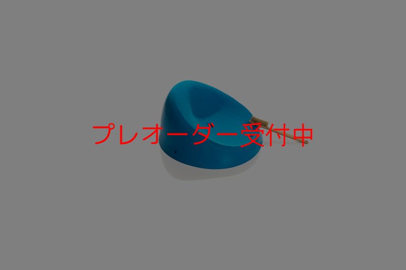 画像5: CT Taji XXL1/プレオーダー (5)