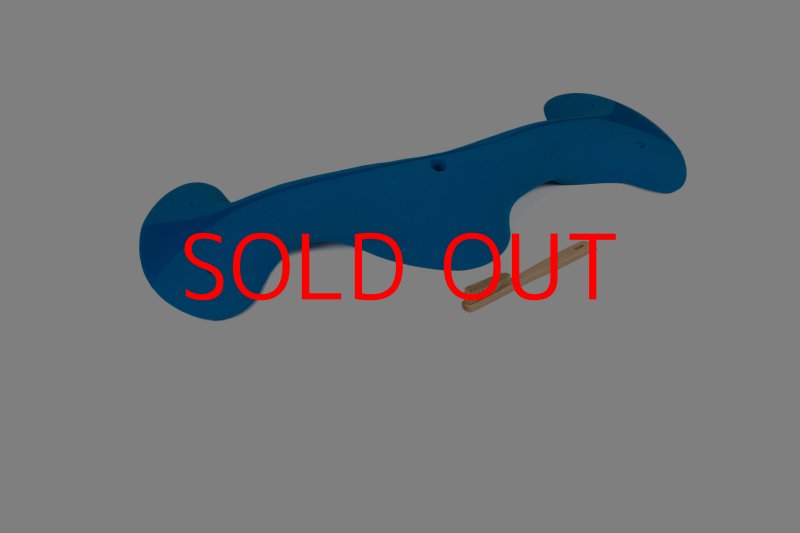 画像6: CT Taji Pinch MEG 10 (6)