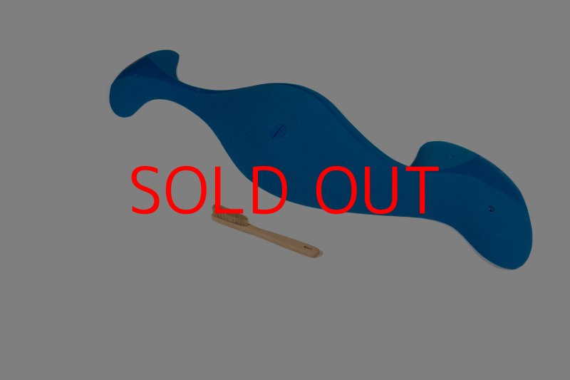 画像7: CT Taji Pinch MEG 5 (7)