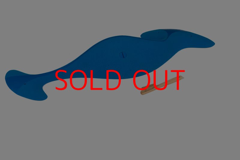 画像6: CT Taji Pinch MEG 5 (6)