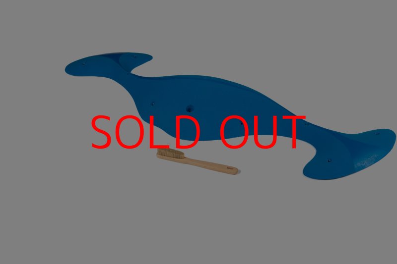 画像7: CT Taji Pinch MEG 6 (7)